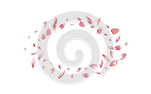Transparent Rose Petal Vector White Background