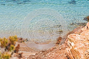 Transparent sea in Capo Coda Cavallo