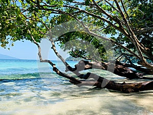 Transparent sea wave under green branch. Beautiful blue sea and white sand on the beach under blue sky.