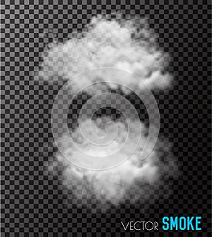 Transparent set of smoke vectors.