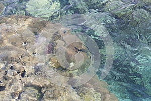 Transparent shallow water with reef rocky bottom, fading away to deeper area at top photo