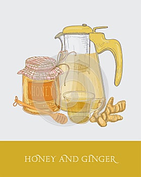 Transparent teapot or pitcher with strainer, cup of tea, jar of honey, ginger root and dipper hand drawn in vintage