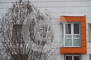 Transparent tree with bare branches and the facade of a house with a window with an orange platband, winter, a little snow