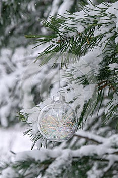 Transparent trendy glass Christmas ball on snowy branch firs in winter forest. Winter holiday background. Copy space