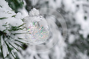 Transparent trendy glass Christmas ball on snowy branch firs in winter forest. Winter holiday background. Copy space