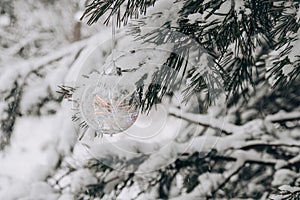 Transparent trendy glass Christmas ball on snowy branch firs in winter forest. Winter holiday background. Copy space