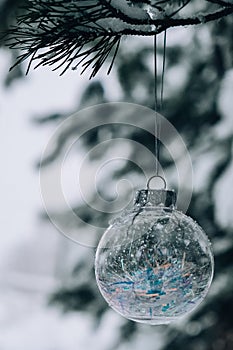 Transparent trendy glass Christmas ball on snowy branch firs in winter forest. Winter holiday background. Copy space