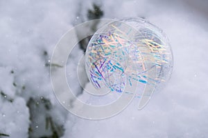 Transparent trendy glass Christmas ball on snowy branch firs in winter forest. Winter holiday background. Copy space