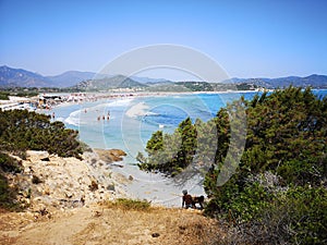 Transparent and turquoise sea in Porto Giunco, Sardinia, Italy