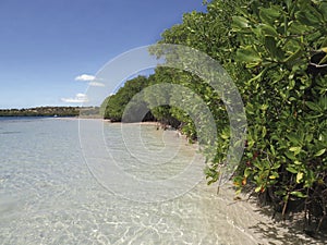 Transparent and turquoise waters of the Caribbean Sea. Green tropical vegetation and blue sky. Paradise landscape. Martinique,