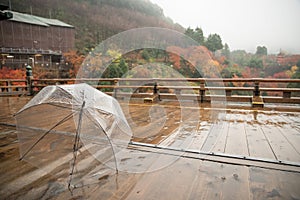 Transparent umbrella on wet wood floor,Kiyomizu-dera,Japan