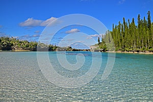 Transparent view of Natural Pool with ascending green pine trees & turquoise water in Ile des Pins island, New Caledonia