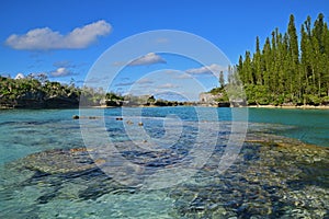 Transparent view of Natural Pool Piscine Naturelle with green pine trees & turquoise water in Ile des Pins island, New Caledonia photo