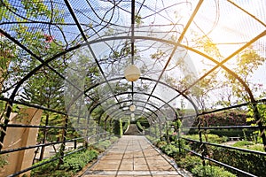 The transparent walkway under metal tunnel with flowers and tree in the garden with sunlight