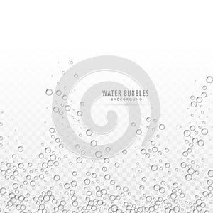 Transparent water bubbles vector on white background
