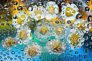 Transparent water droplets falling down against the golden blue background with yellow-white flowers.