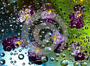 Transparent water droplets falling down against the turquoise-green background with yellow-purple flowers.