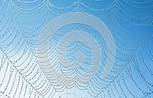 Transparent water droplets on web macro pattern with copy space