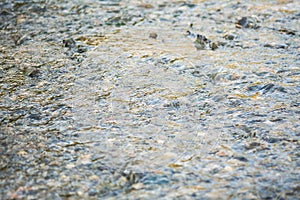 Transparent water flow and a pebbly riverbed of a rapid rivulet.