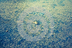 Transparent water flow and a pebbly riverbed of a rapid rivulet.