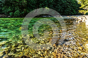 Transparent water of Rio Correntoso, the shortest river in the world, Argentina.