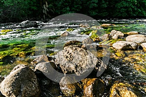 Transparent water of Rio Correntoso, the shortest river in the world, Argentina. photo