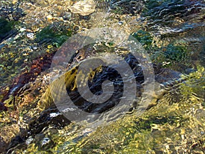 Transparent water photo