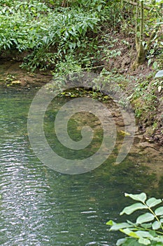 Transparent water with sediments from rich soil of the marsh