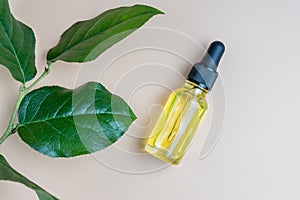 Transparente dropper bottle with beauty oil or essential oil for skin care. Natural cosmetics concept. Green leaves on beige photo