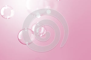 Transparrent soap bubbles float on pink background.
