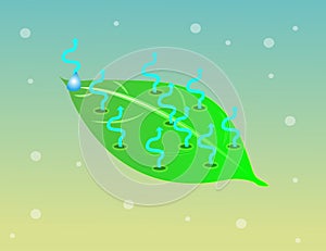 Transpiration of a plant