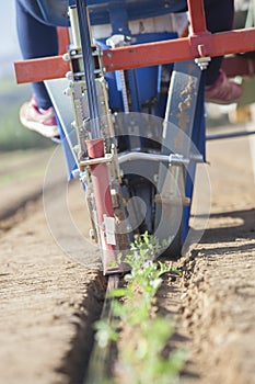 Transplanter machine injecting drip irrigation tape on ground