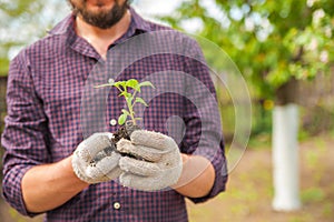 Transplanting plants illustration of procedures and tools for caring for indoor plants. Soil preparation. Care Of New Life - Water