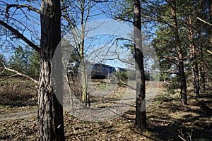View of a freight train from the edge of a forest in the Berlin-Biesdorf district. Berlin, Germany, Europe.