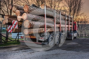 Transport of pine wood from Valsain in Segovia Spain photo