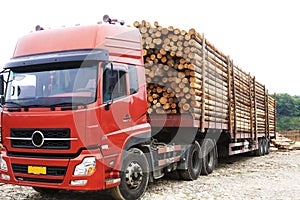 Transport wooden beams