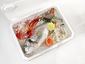 Transportation Box with Ice and Fish isolated on white Background - Grey Seabream and Shrimps photo