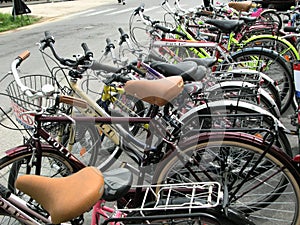 Transportation eco in Lucca Tuscany