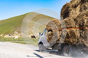 Transportation of hay by cars