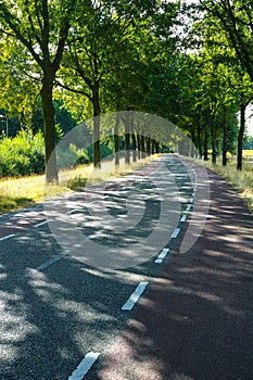 Transportation in Netherlands, roads with bicycle paths and whit