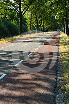 Transportation in Netherlands, roads with bicycle paths and whit