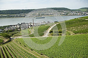 Transportation of rhine river with city scenery