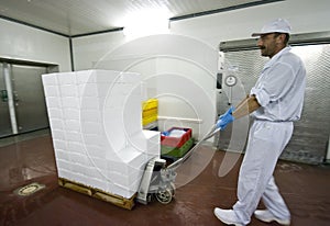 Transporting polystyrene boxes photo