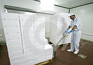 Transporting polystyrene boxes photo