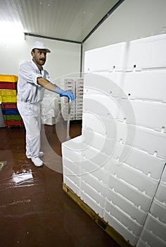 Transporting polystyrene boxes photo