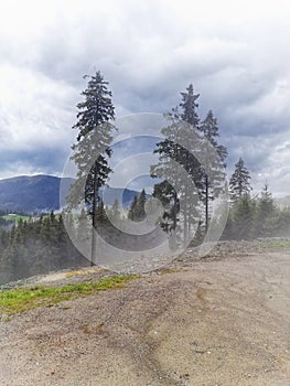 Transrarau road, Bucovina, Romania