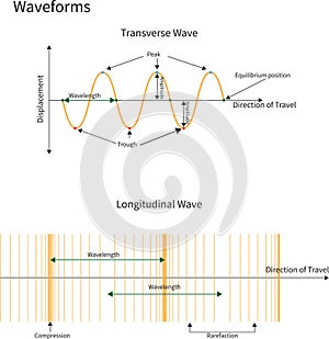 Transverse and Longitudinal Waves