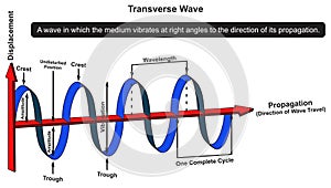 Transverse wave infographic diagram physics science education