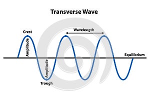 Transverse Wave Properties of Wavelength