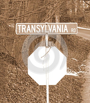 Transylvania Road sepia